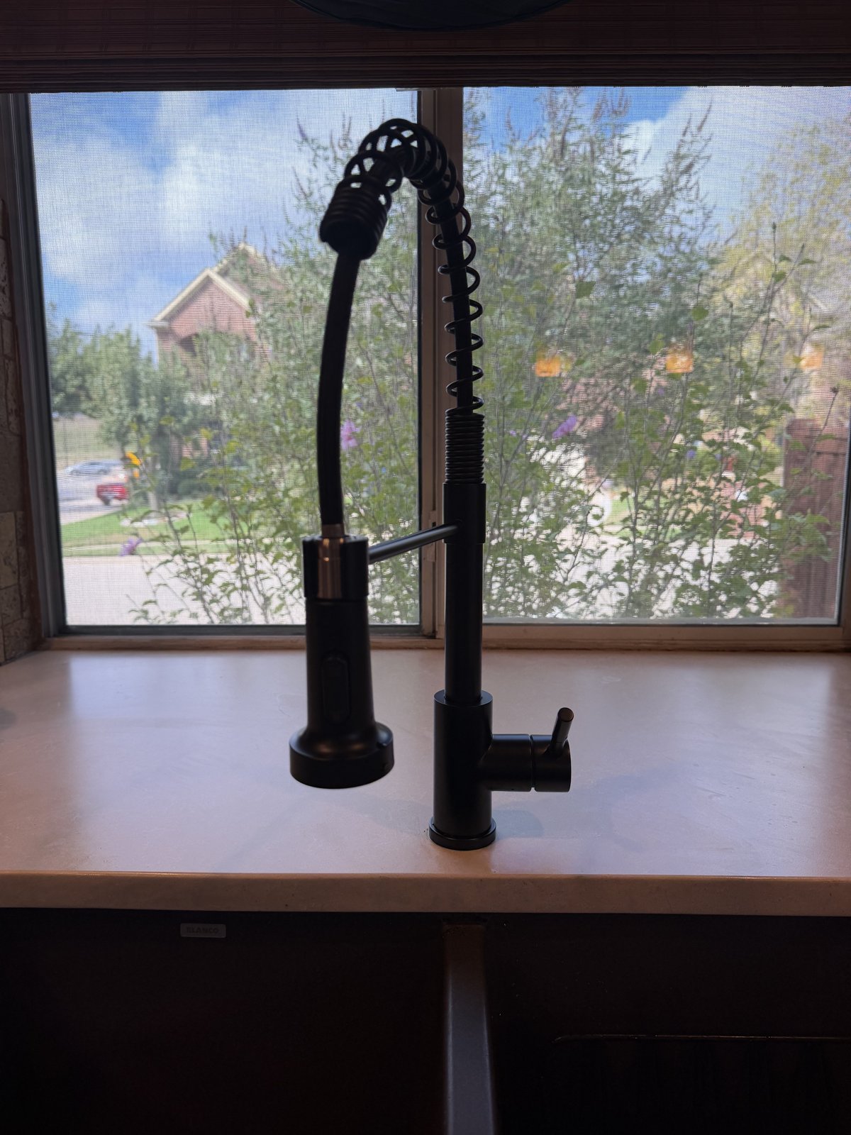 Matte black kitchen faucet installed