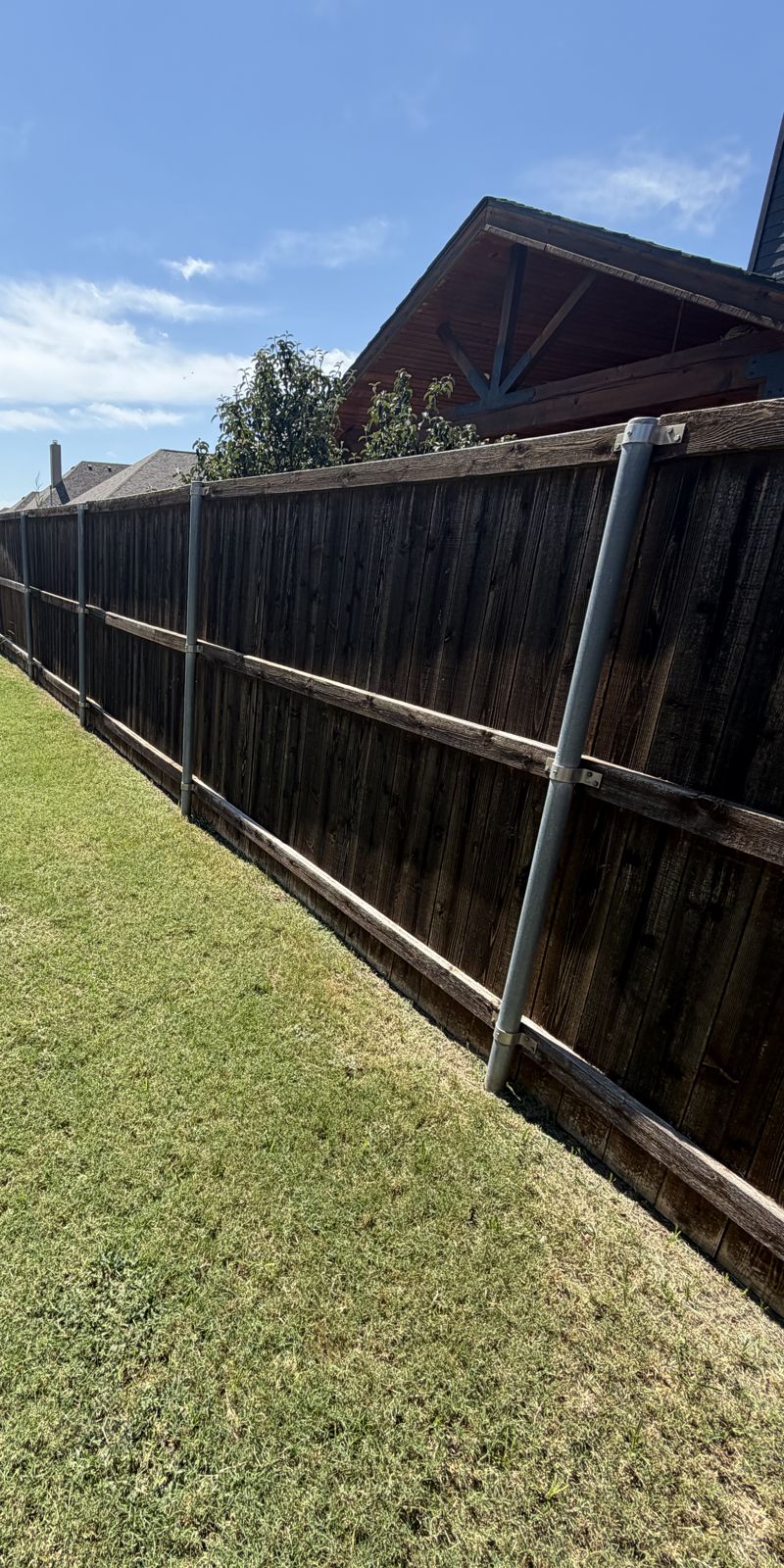 Freshly stained fence